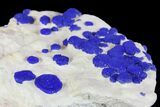 Blue Azurite Sun Cluster on Siltstone - Australia #142794-2